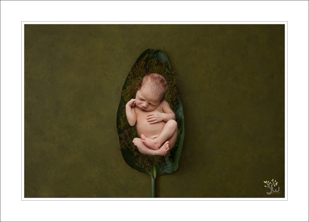 Best Gig Harbor newborn photography